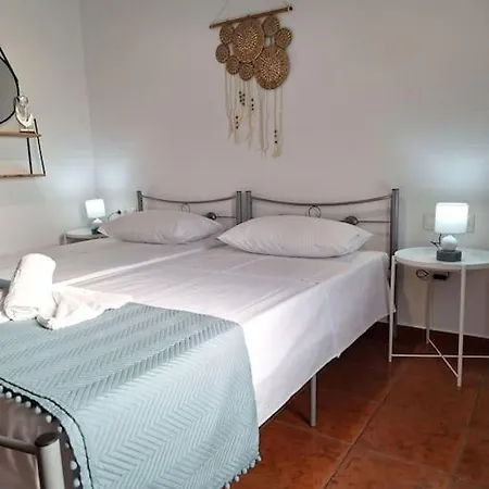 A Tiny * 欧拉努波利斯